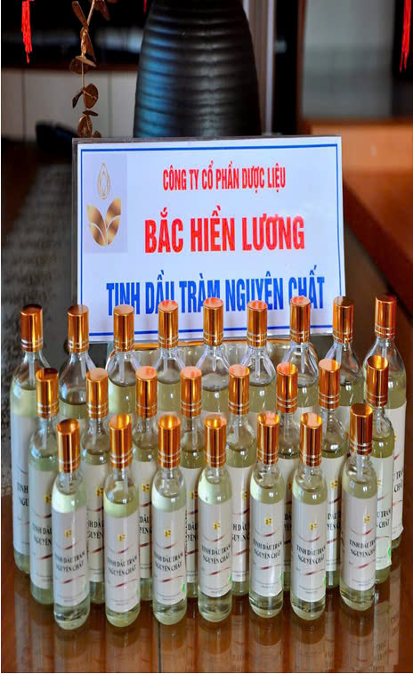 Tinh dầu tràm nguyên chất Bắc Hiền Lương
